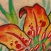 Lily Tattoo Tattoo Design Thumbnail